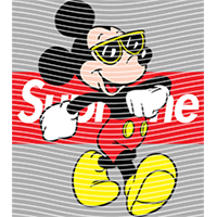 Brand Catalog-ZX 991